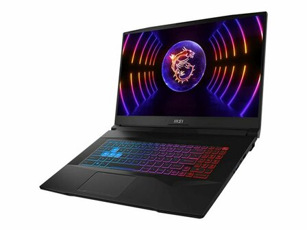 MSI Pulse 17 B13VGK-068 - 43.9 cm (17.3&quot;) - Core i7 13700H - 16 GB RAM - 1 TB SSD - Win 11 Home