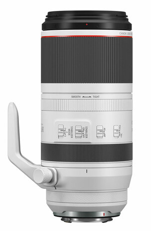 Canon RF 100-500mm 4.5-7.1 L IS USM 